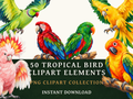 50 Tropical Bird Clipart PNGs | Digital Planner Stickers