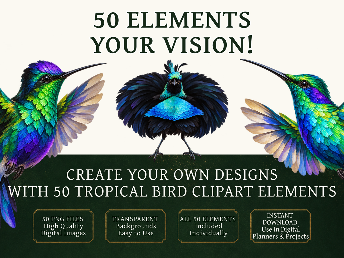50 Tropical Bird Clipart PNGs | Digital Planner Stickers