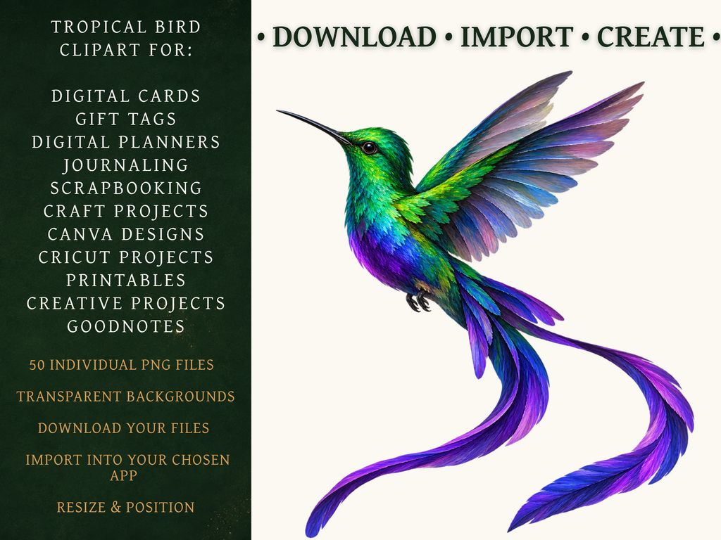 50 Tropical Bird Clipart PNGs | Digital Planner Stickers – Emberwell