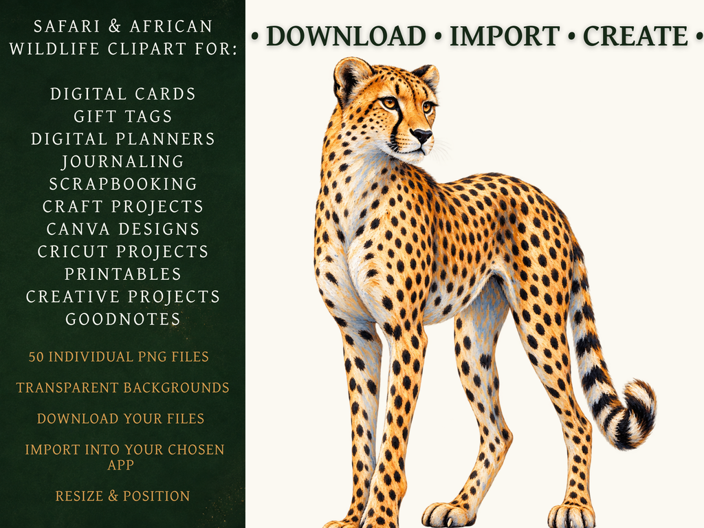 50 Safari & African Wildlife Clipart PNGs | Digital Planner Stickers
